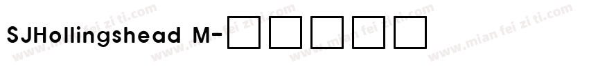 SJHollingshead M字体转换